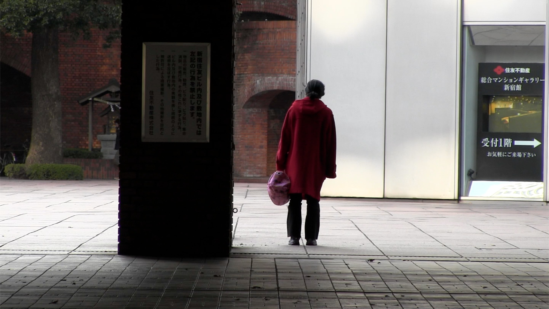 Woman in the Red Coat