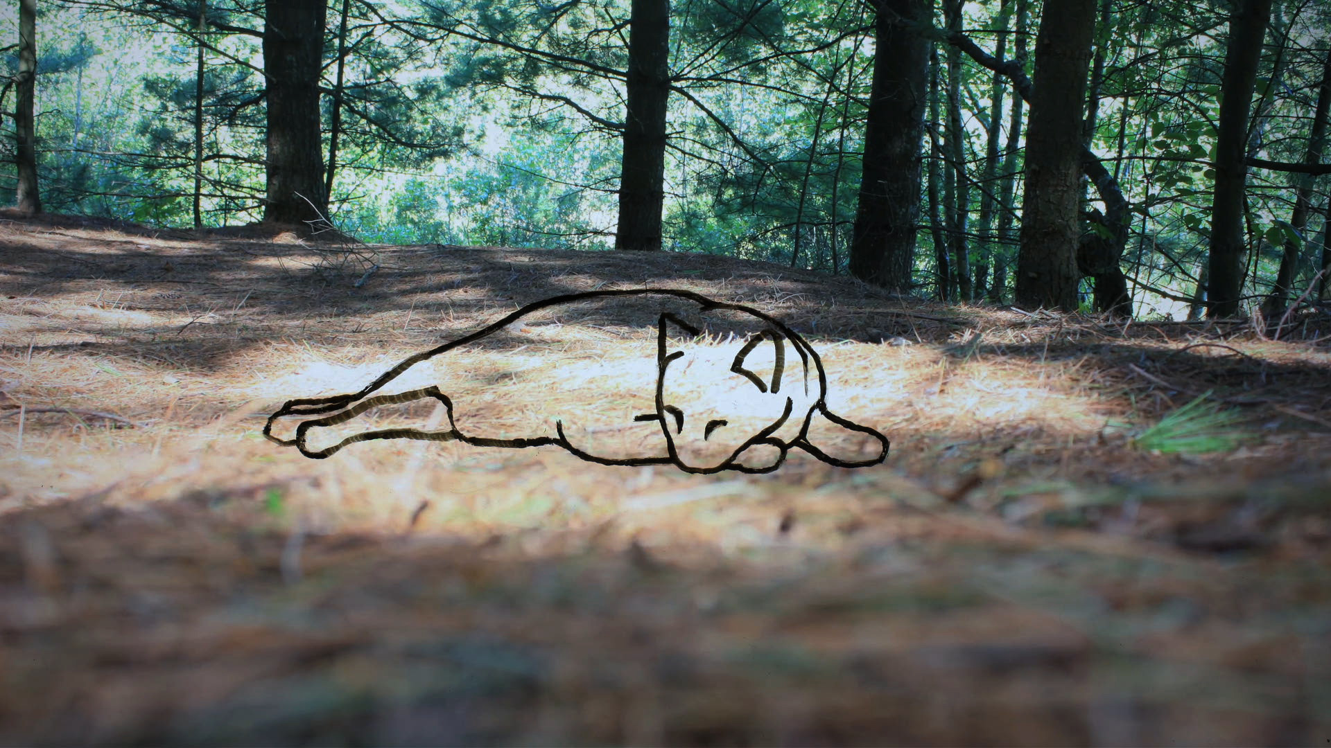 They Look Right Through You