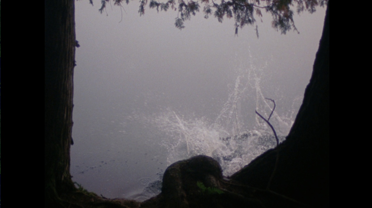 Un ne va pas sans l'autre