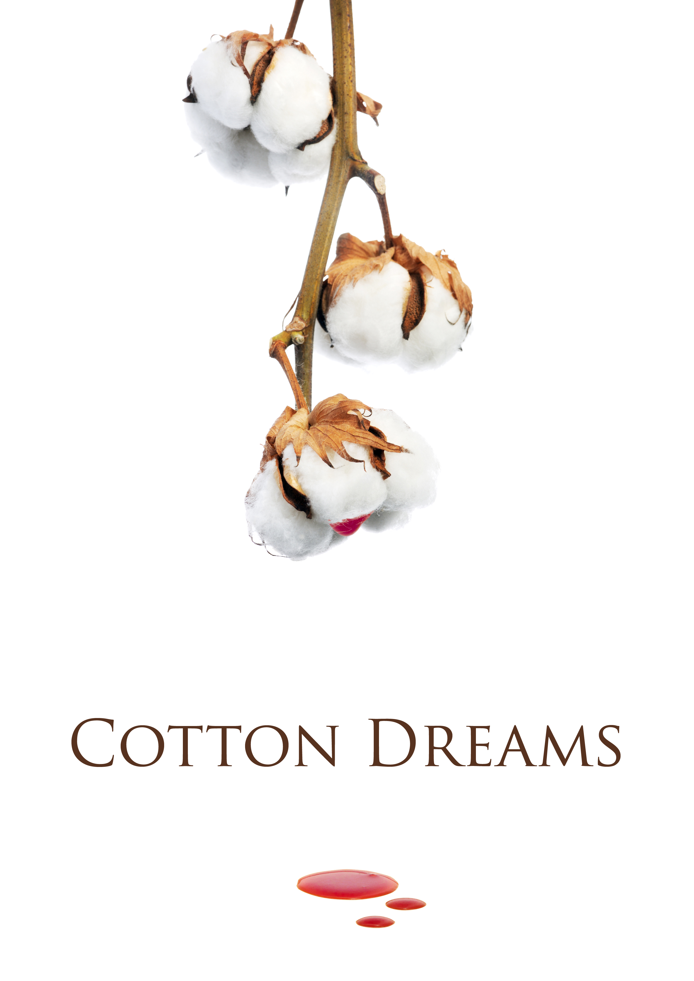 Cotton Dreams