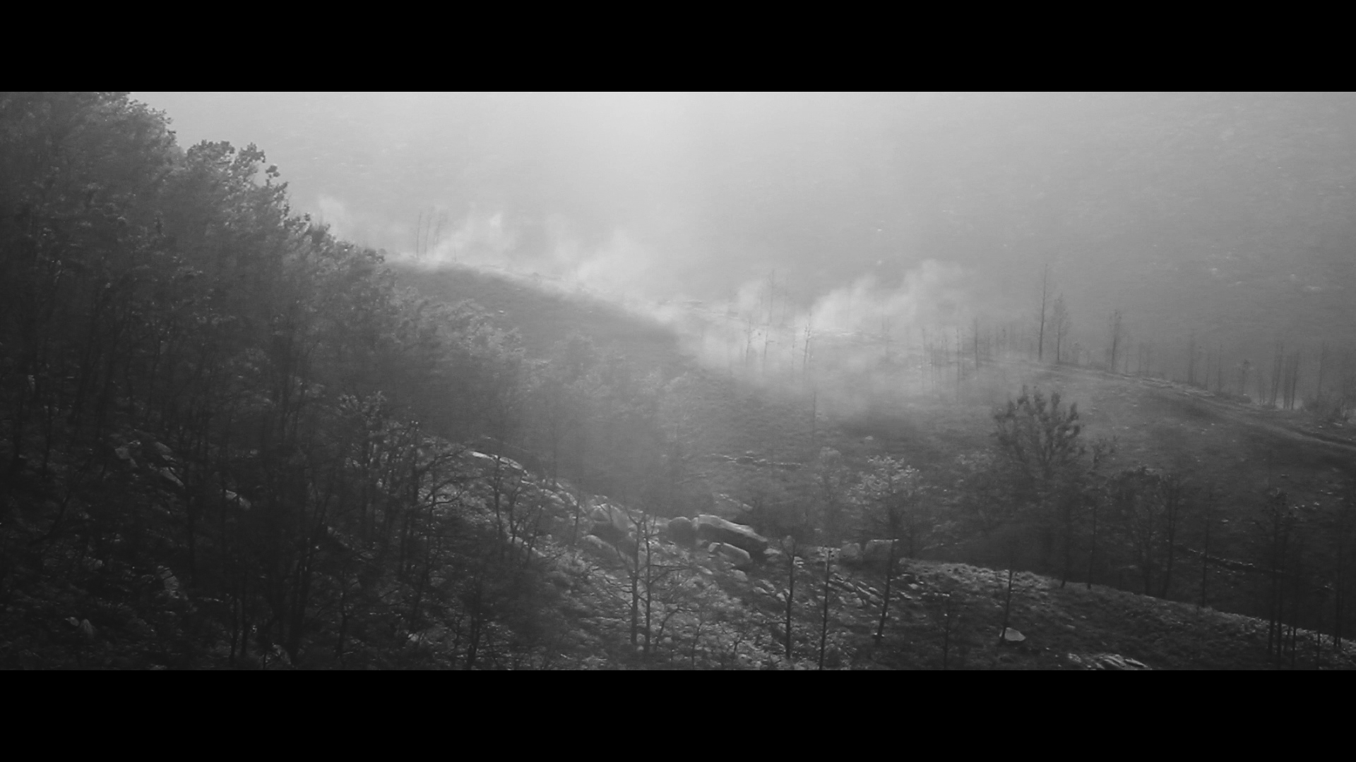 Percepção Delicada de Um Raio de Luz