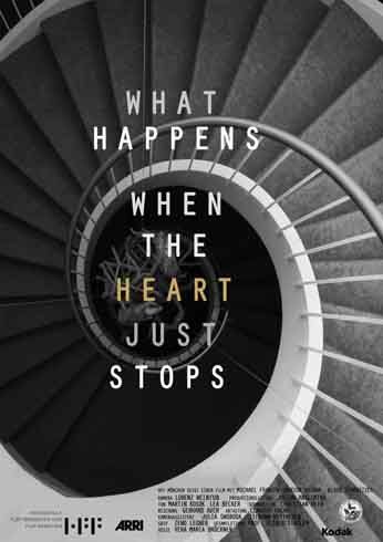 What happens when the Heart just stops