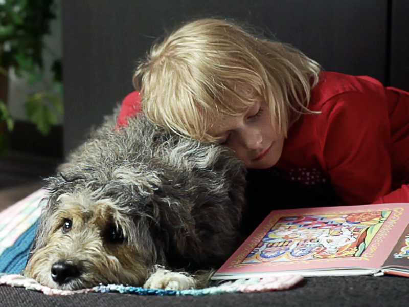 Hunde fallen nicht vom Himmel