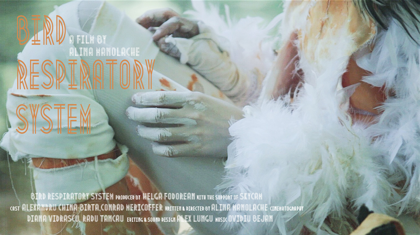 Bird Respiratory System