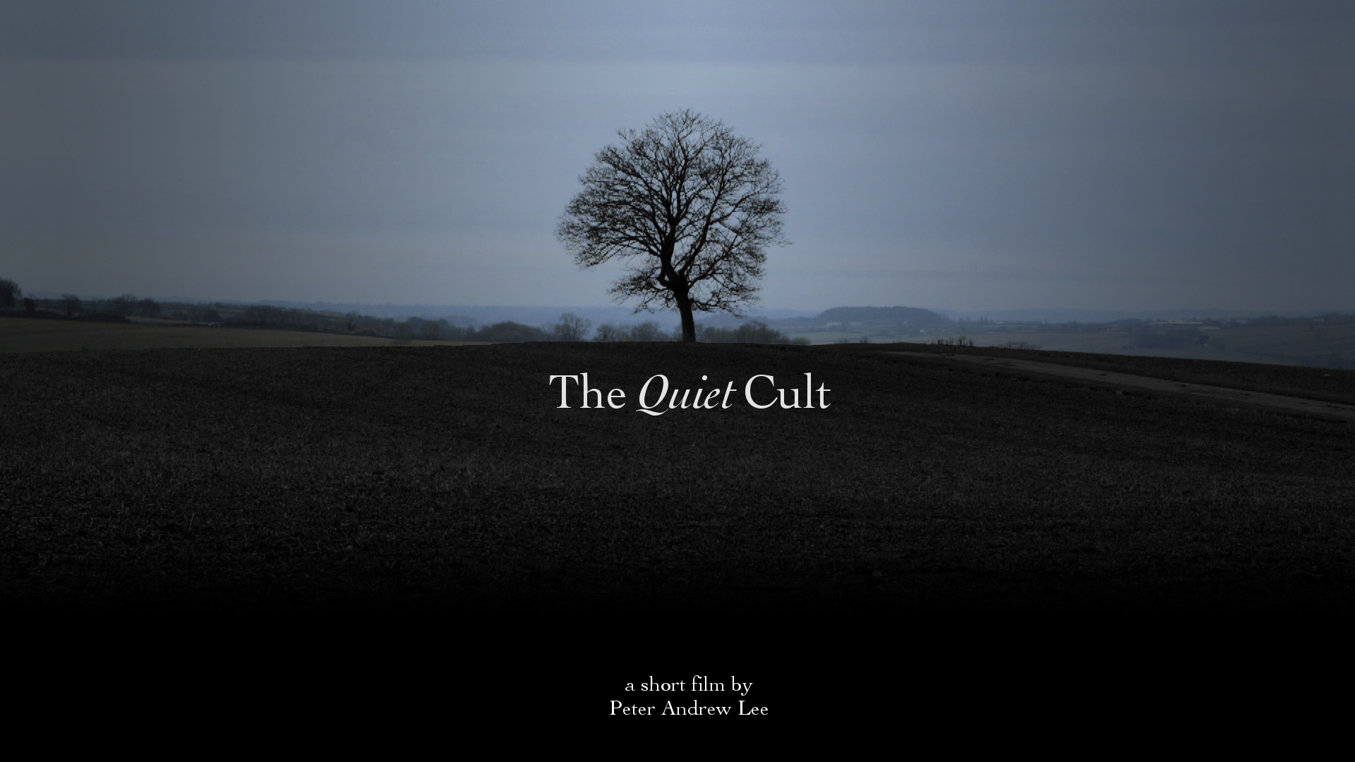 Quiet Cult
