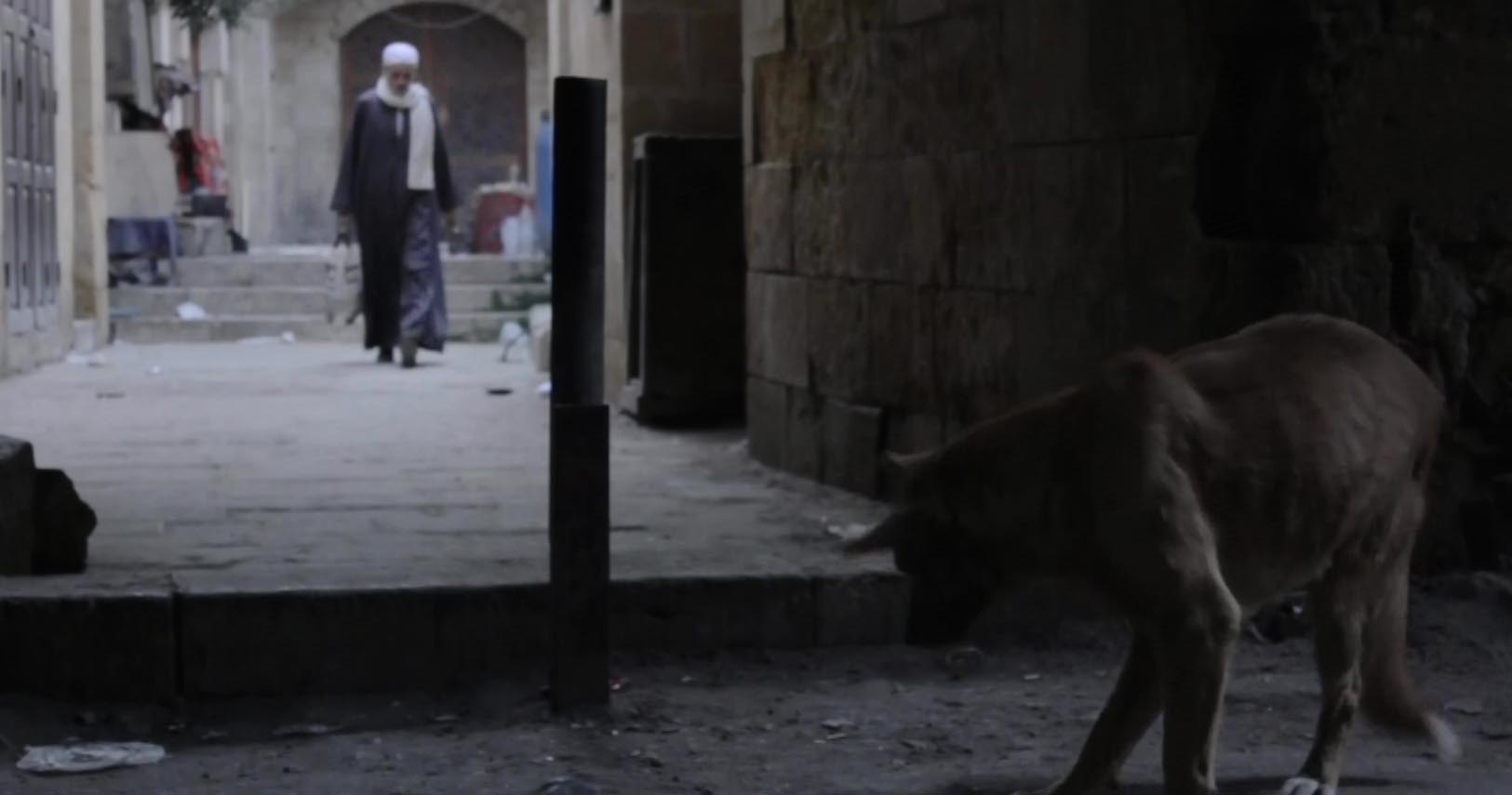 Al Qahera men khamsa le Sab'a