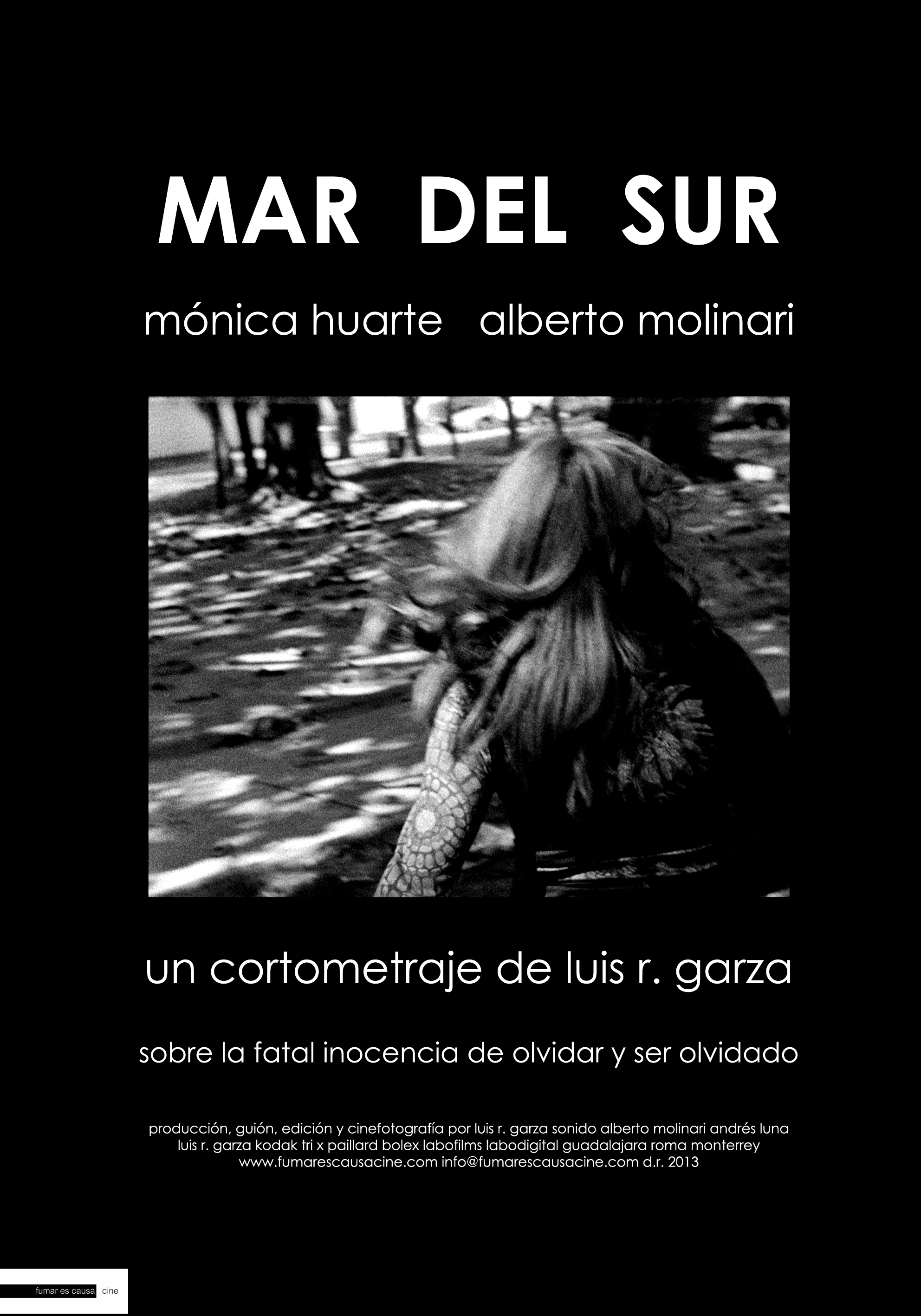 Mar del Sur