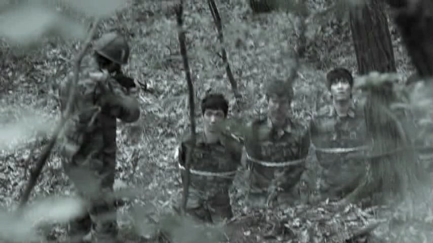 Forest of WAR
