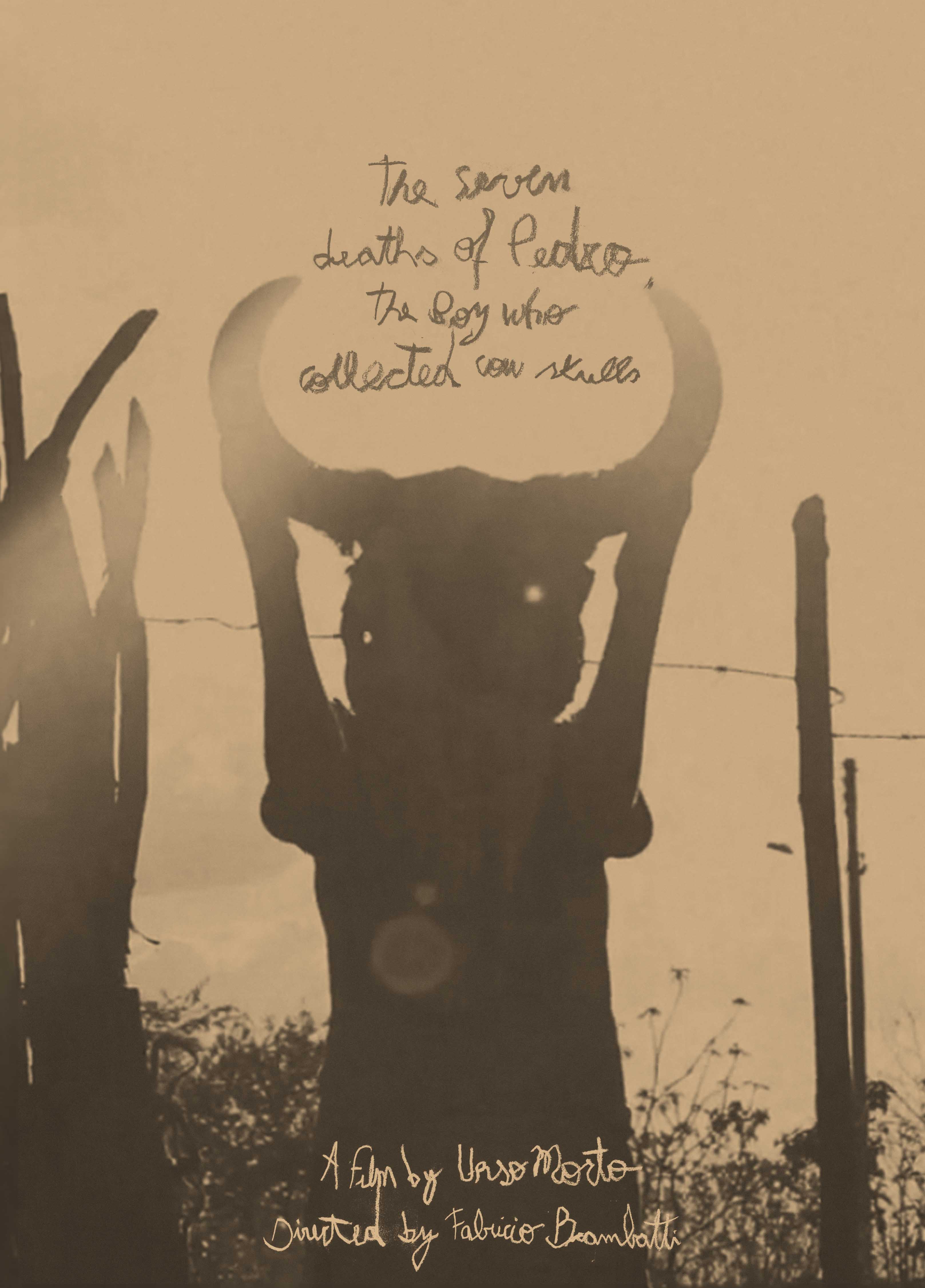 Seven deaths of Pedro. The boy who collected cow skulls.
