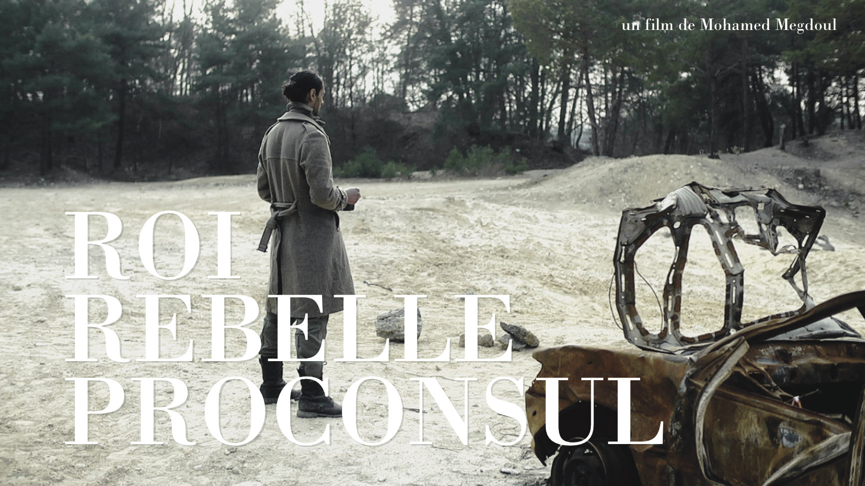 Roi Rebelle Proconsul