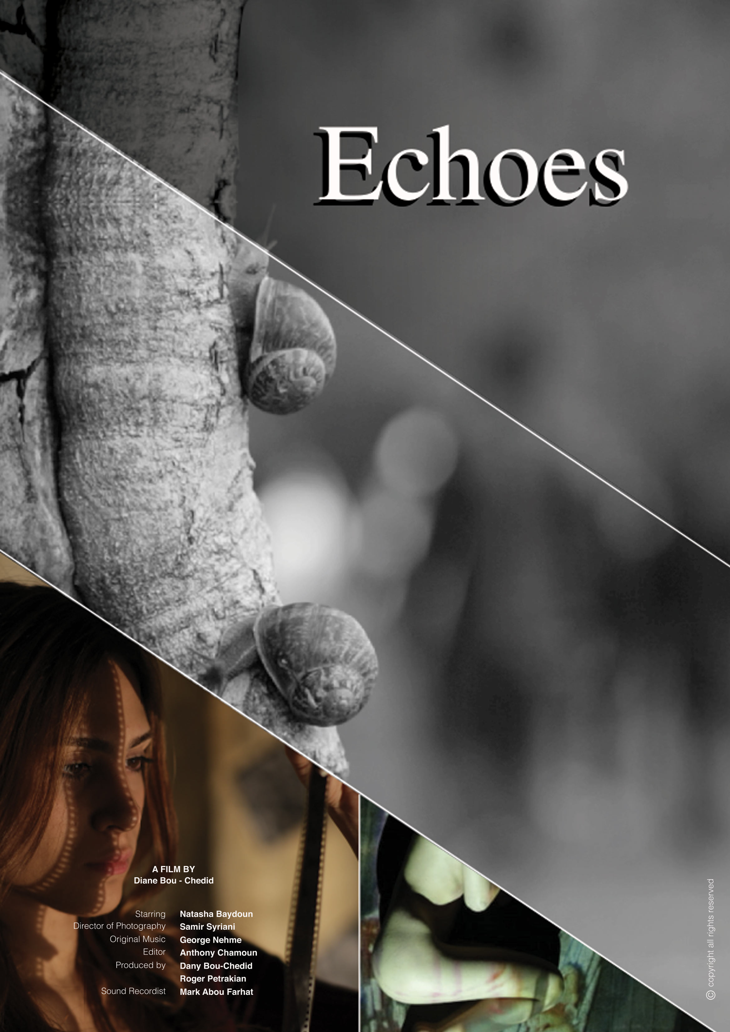 Echoes