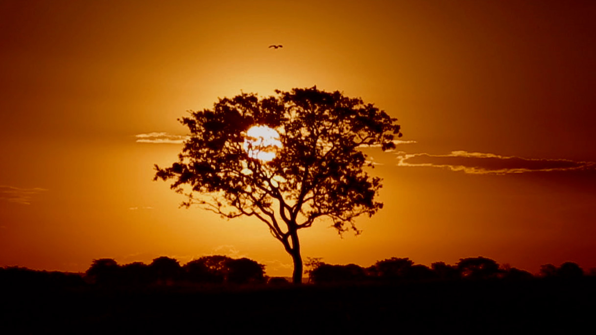 Um pôr do sol para meu pai