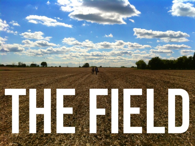 Field