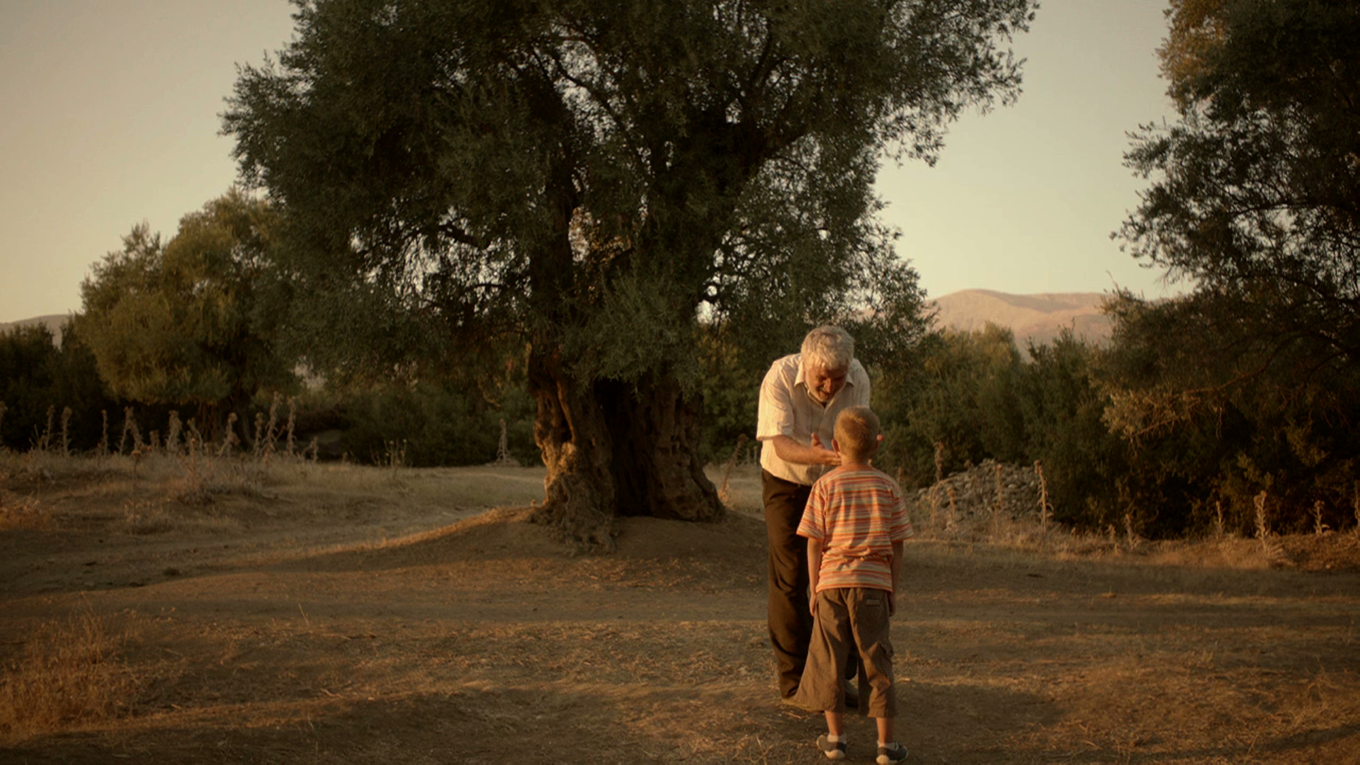 Şeref Dayı ve Gölgesi