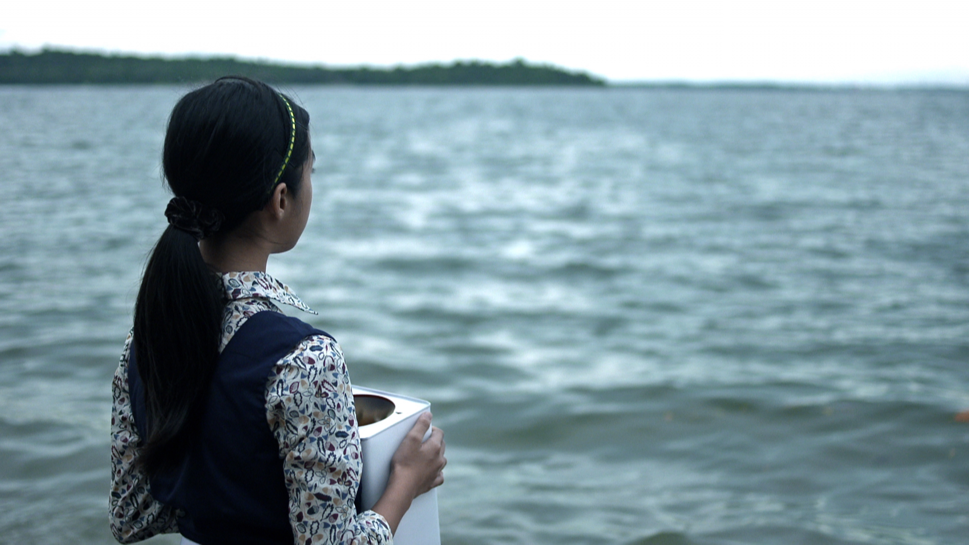 Song of the Firebird