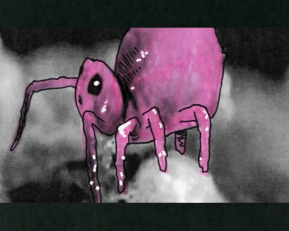 pinKsects (dittiKo antimediatiKo - capitolo #1)