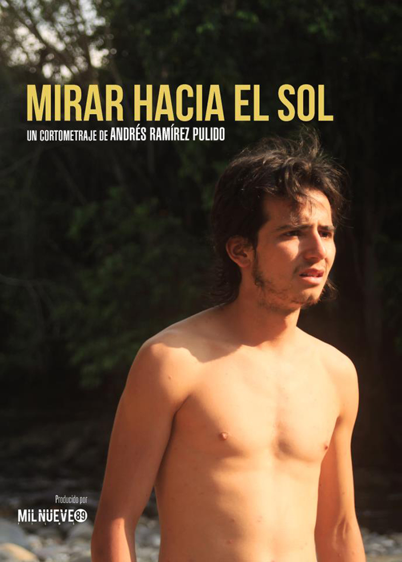 Mirar hacia el sol