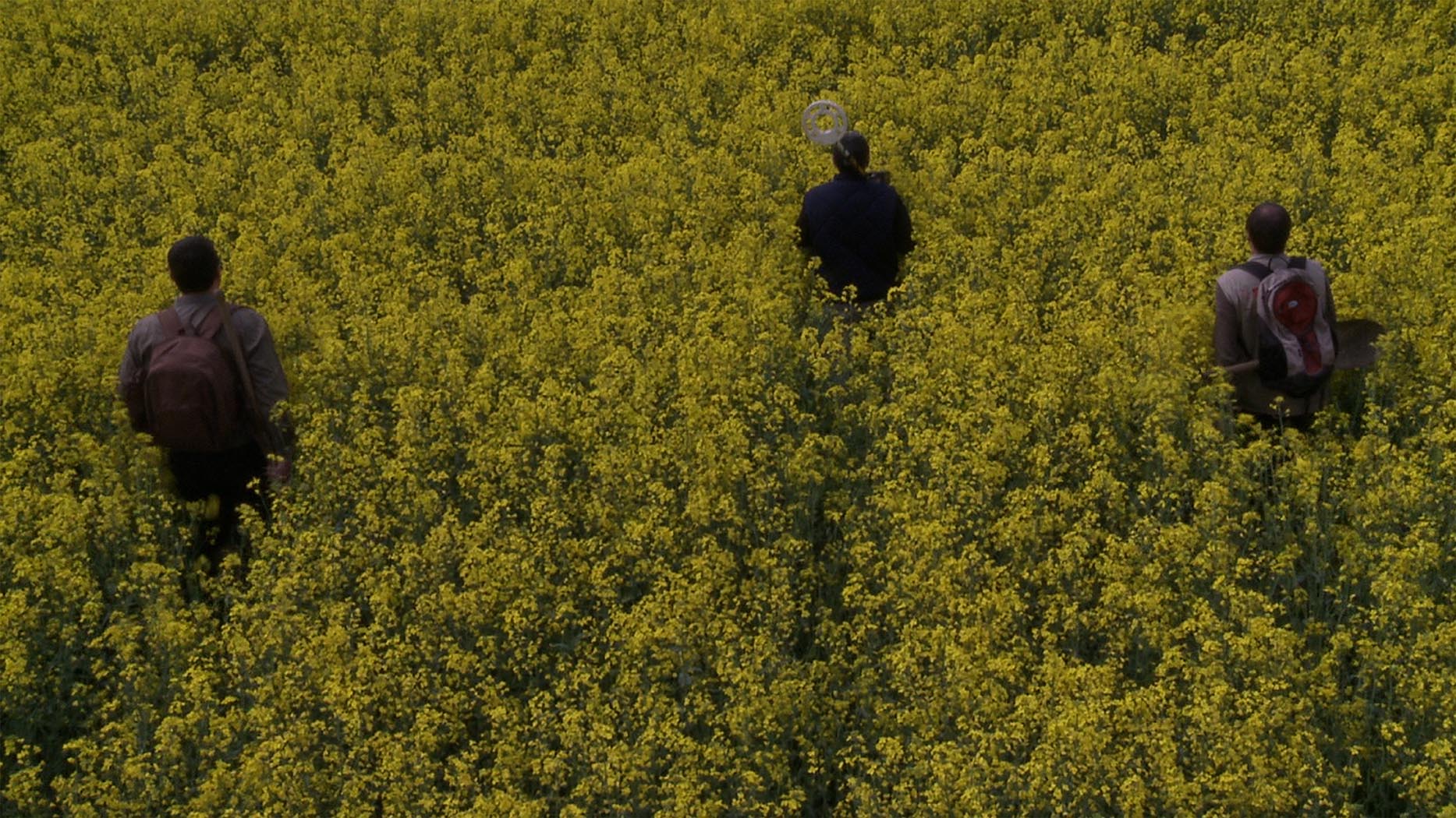 205 La terre s'ouvre