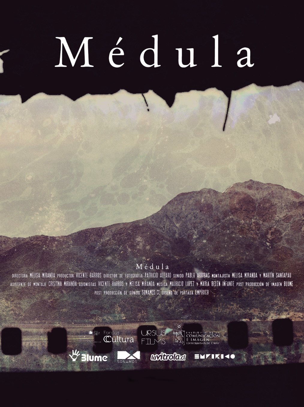 Médula