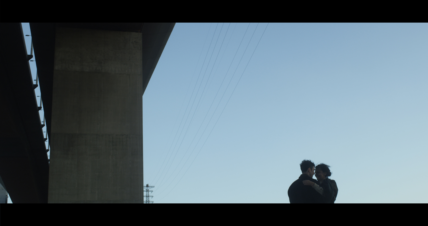 There Is No Such Thing as a Jellyfish