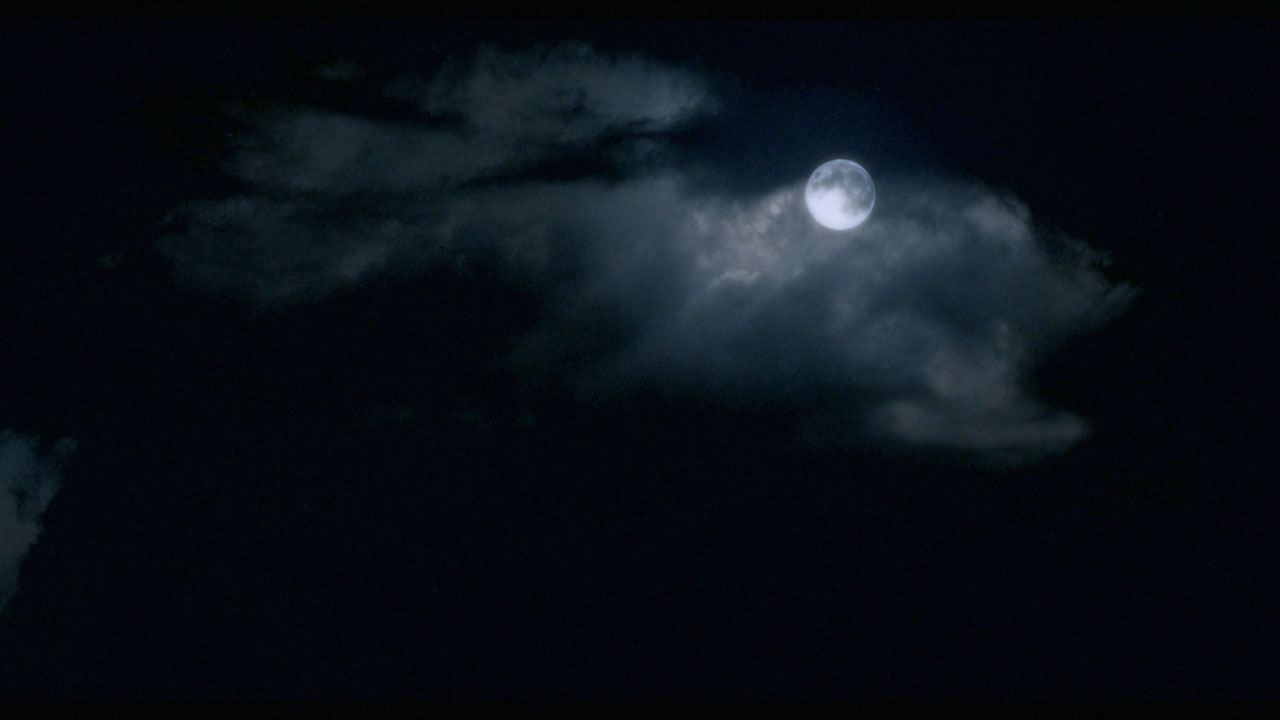 Full Moon Party