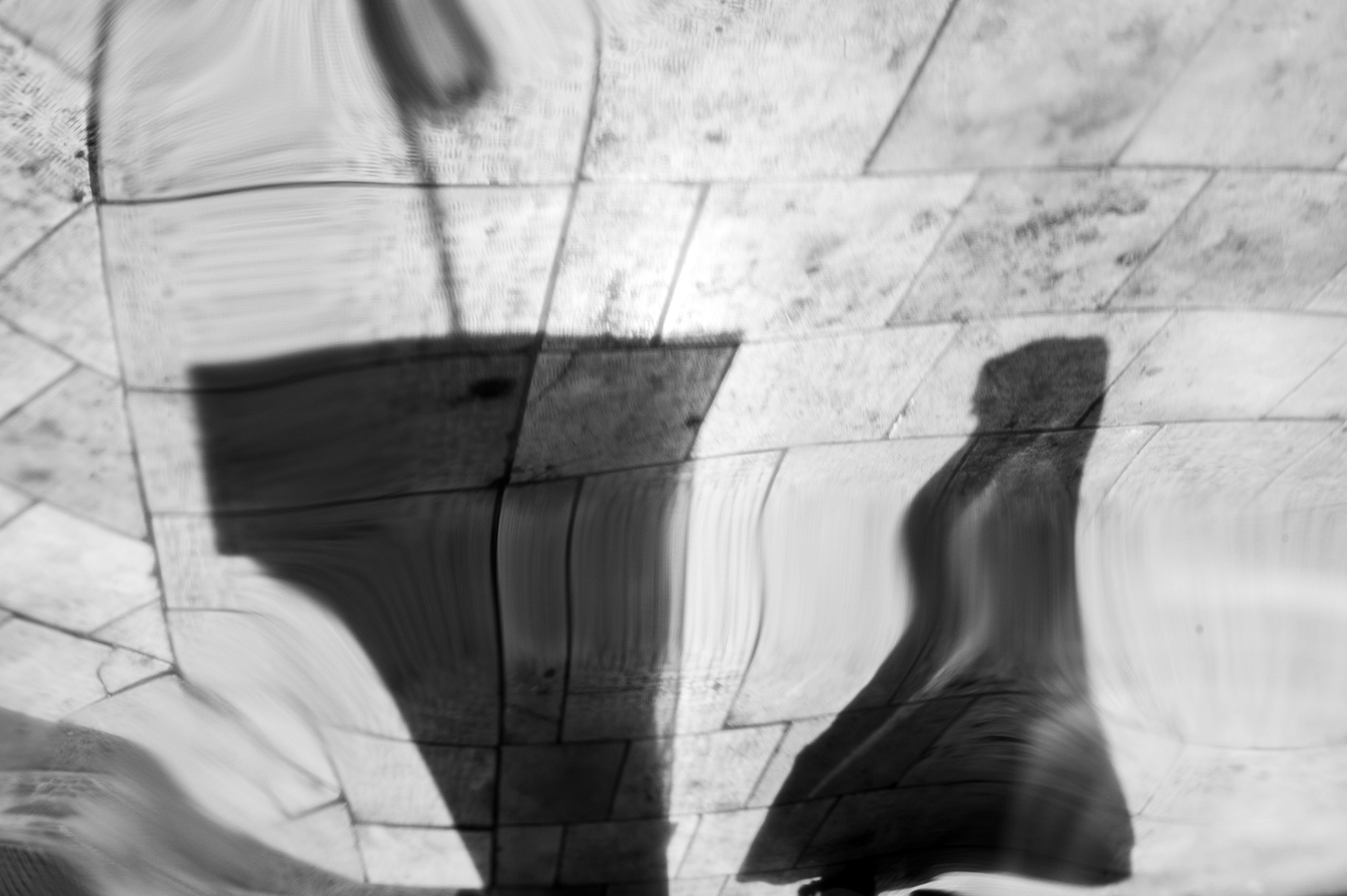 Shadows Roam Wherever They Will