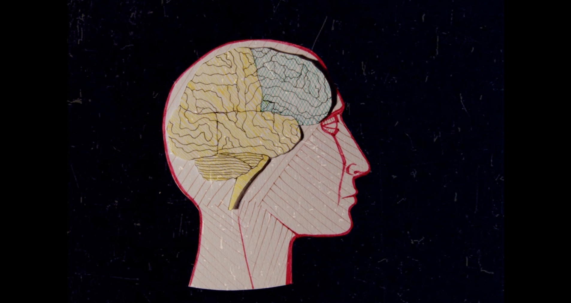 All About Bananas Et Cetera.