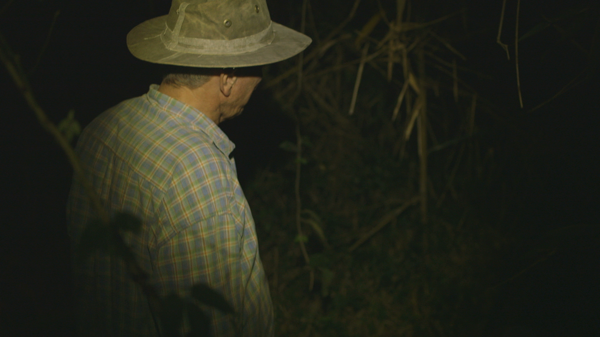 Observadores de Saci