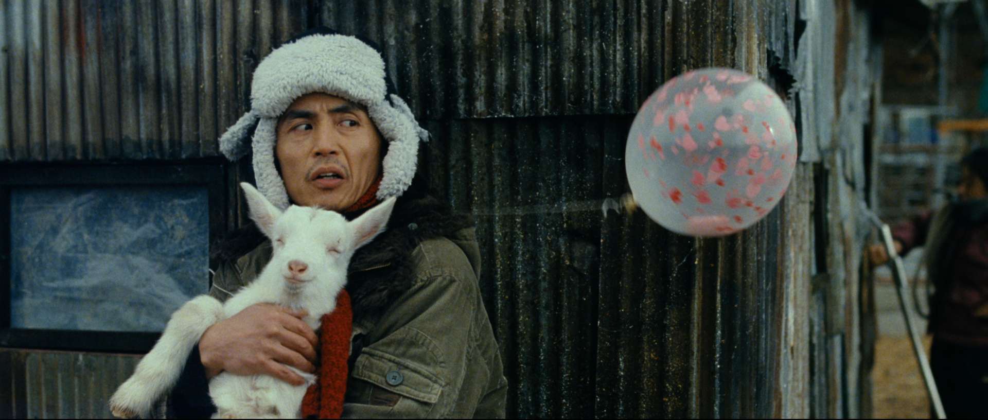 Two Boys and a Sheep