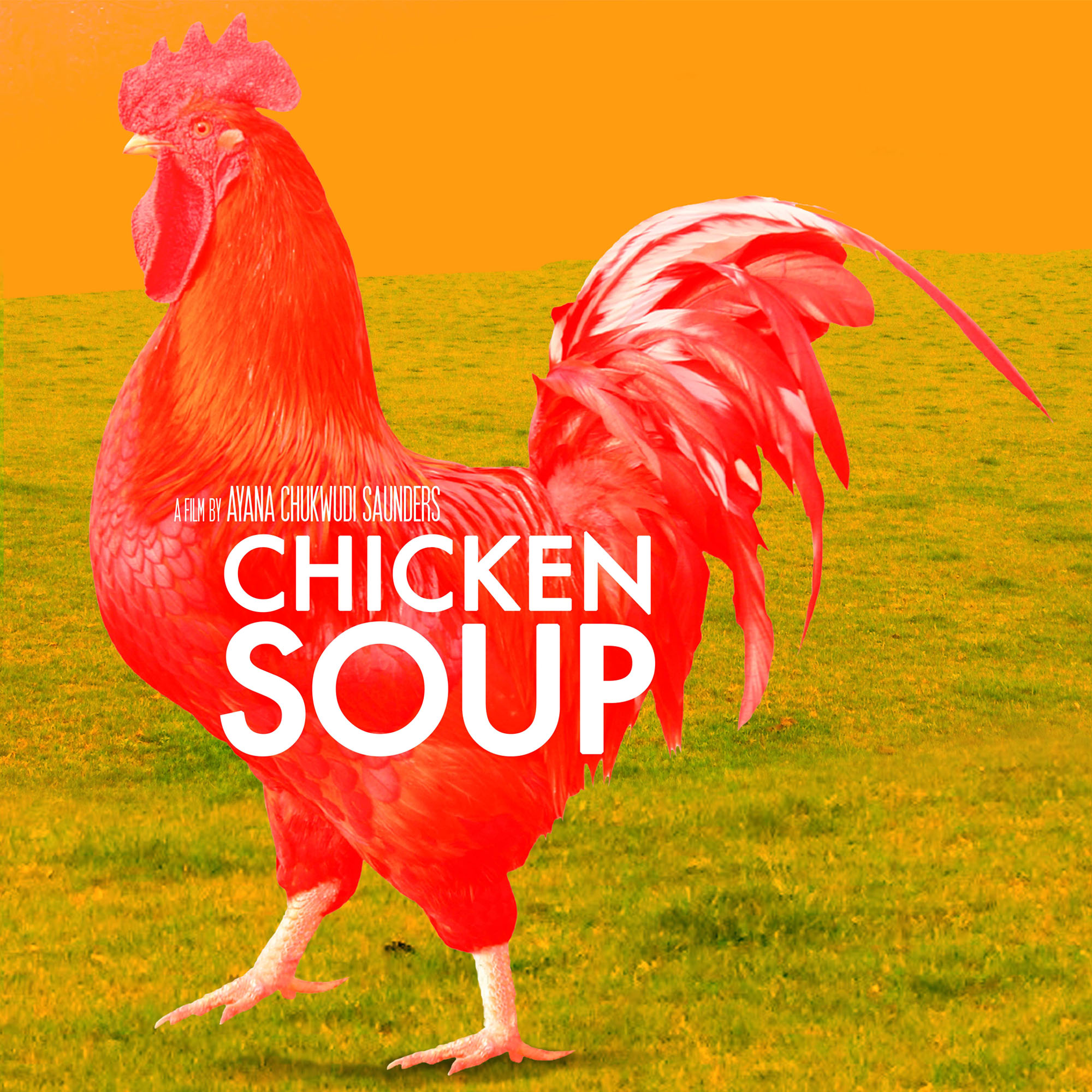 Chicken Soup