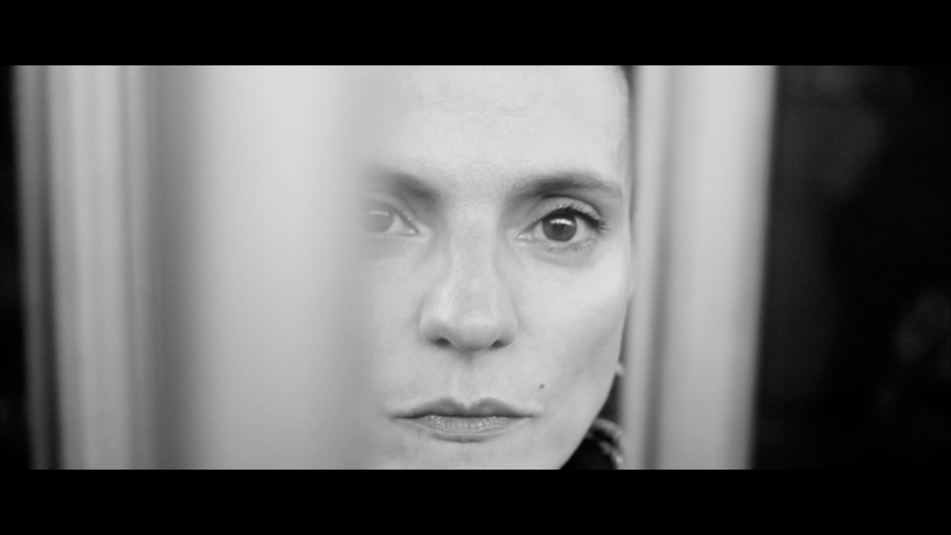 Abandon de la couleur