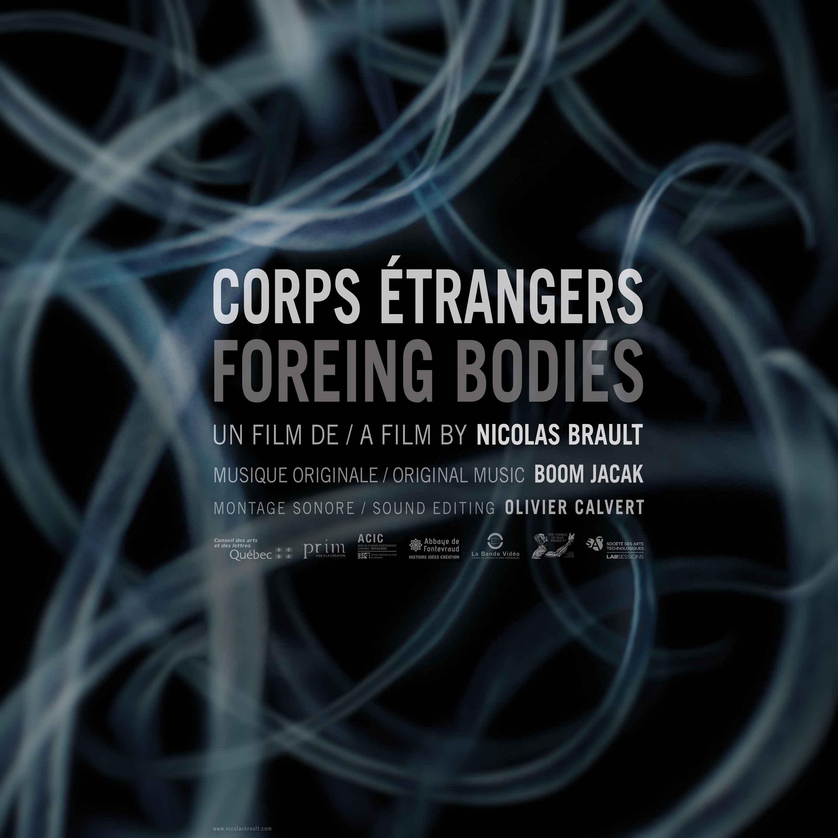 Corps étrangers