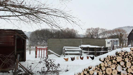 Matin de neige sur l'estuaire