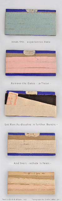 115 Rubans, 624 Emily Dickinson