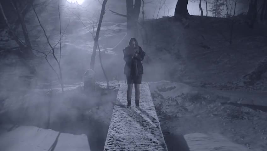 Blätter ohne Bäume