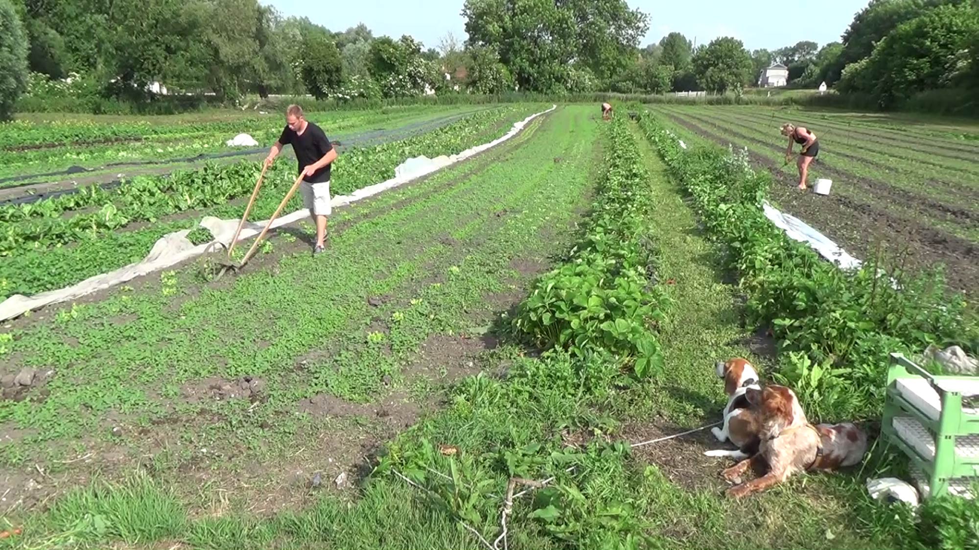 AMAP bio, culture extraterrestre?