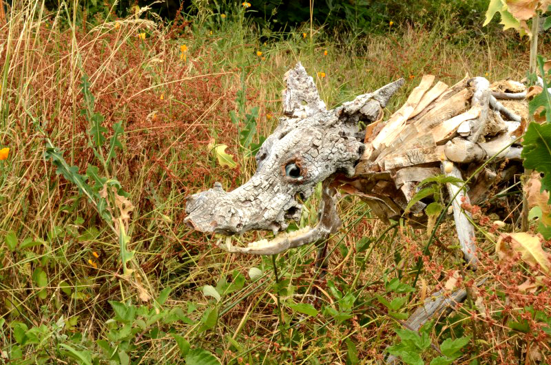 PAN, la Nature de l'Homme