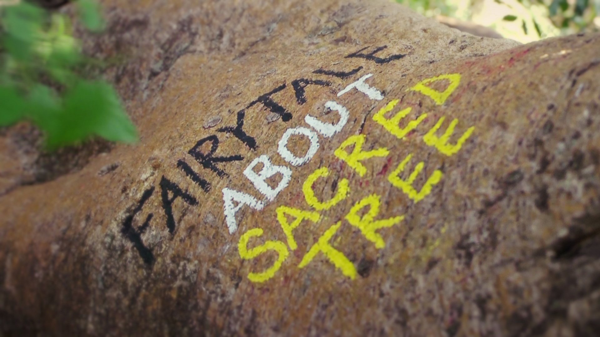 Fairytale About Sacred Tree