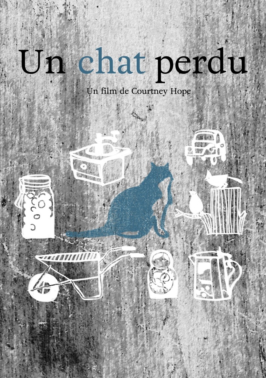 Un chat perdu