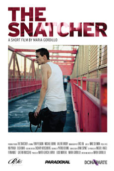 Snatcher