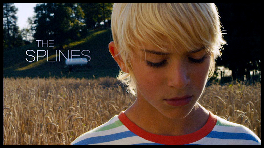 Splines