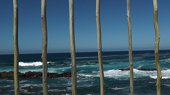 M 66 : On the Road to Freedom