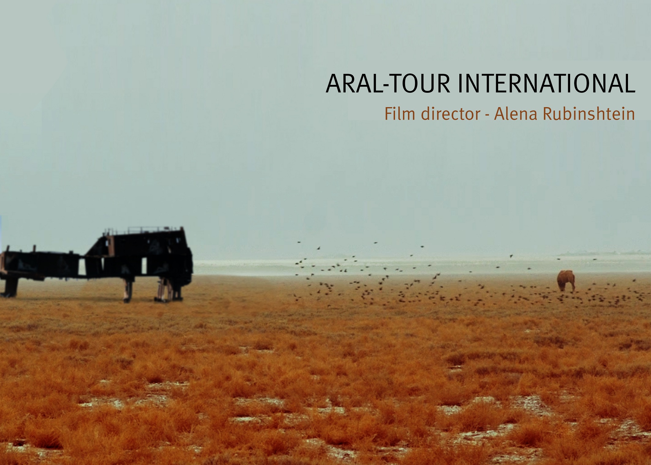 Aral-tur International