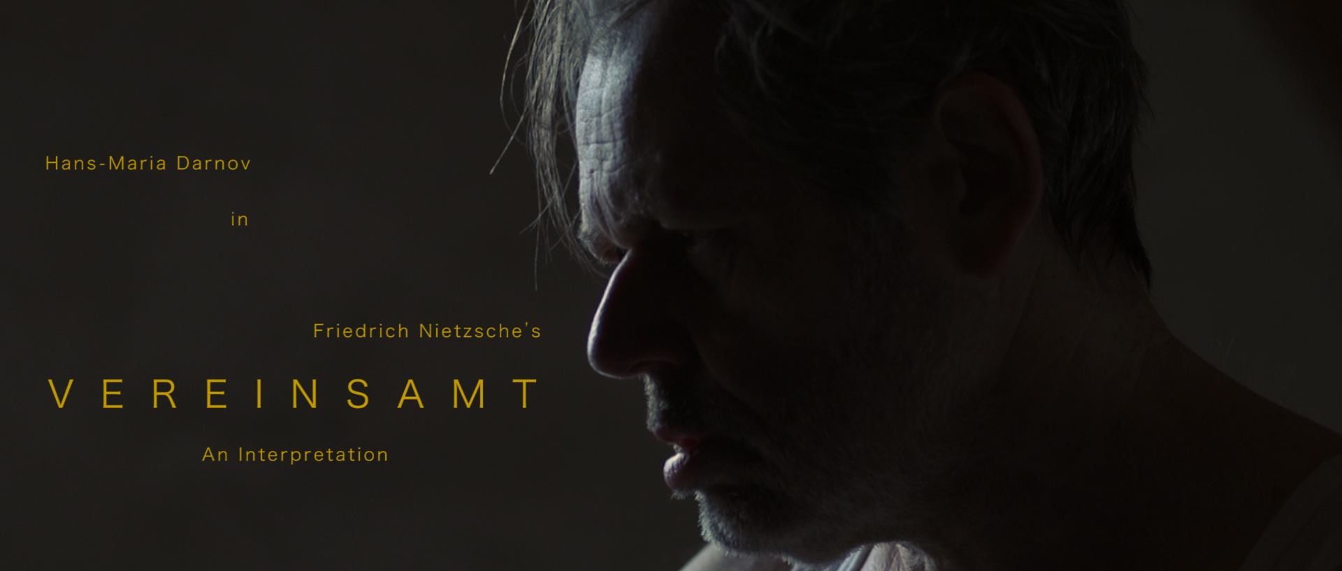 Nietzsche's 'Vereinsamt' - An Interpretation