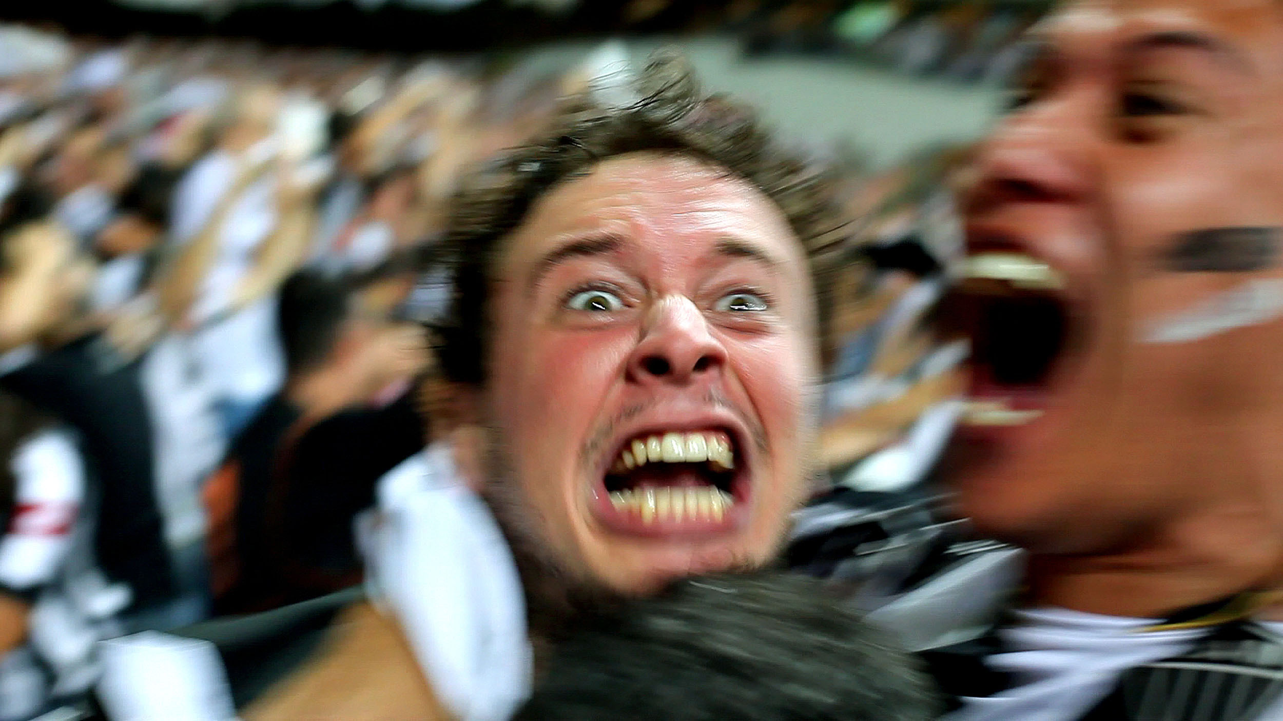 Dia do Galo