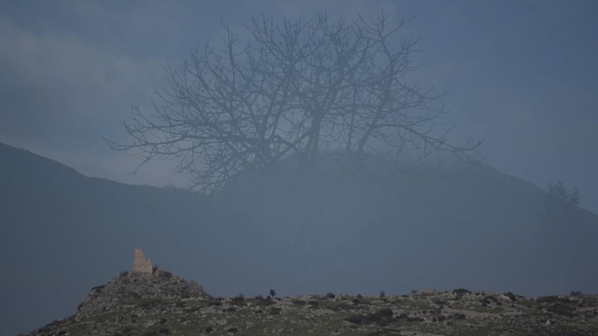 Principle Of Synergy