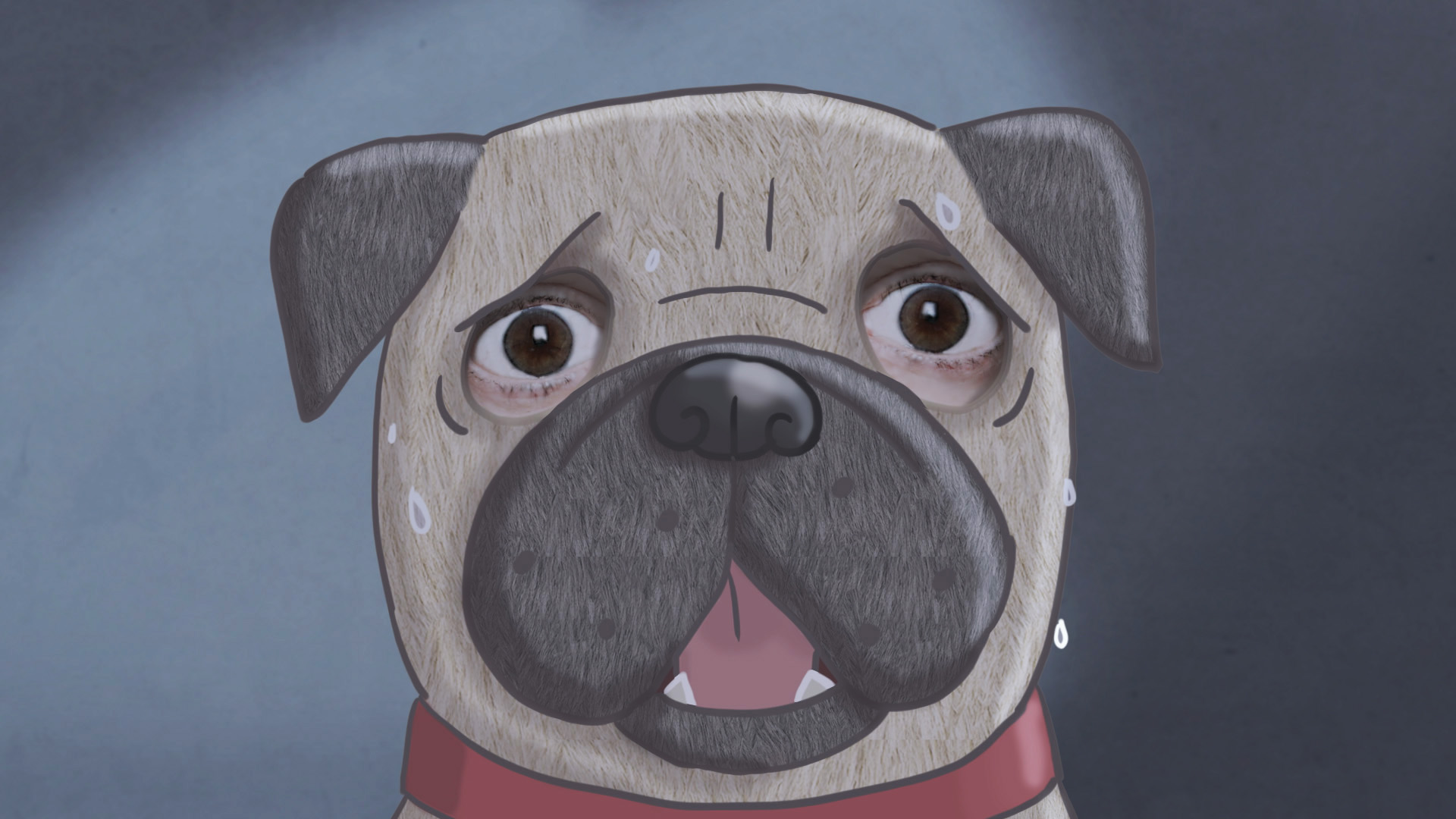 Monsieur Pug