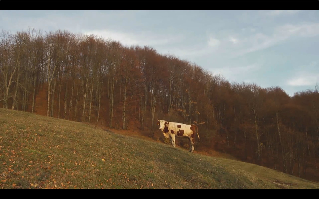 When Mountains and Animals will Speak