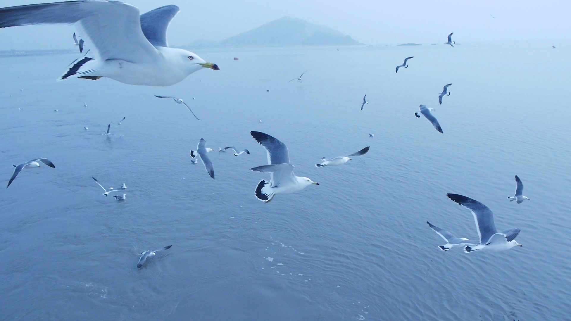 Où se cachent les monstres ?