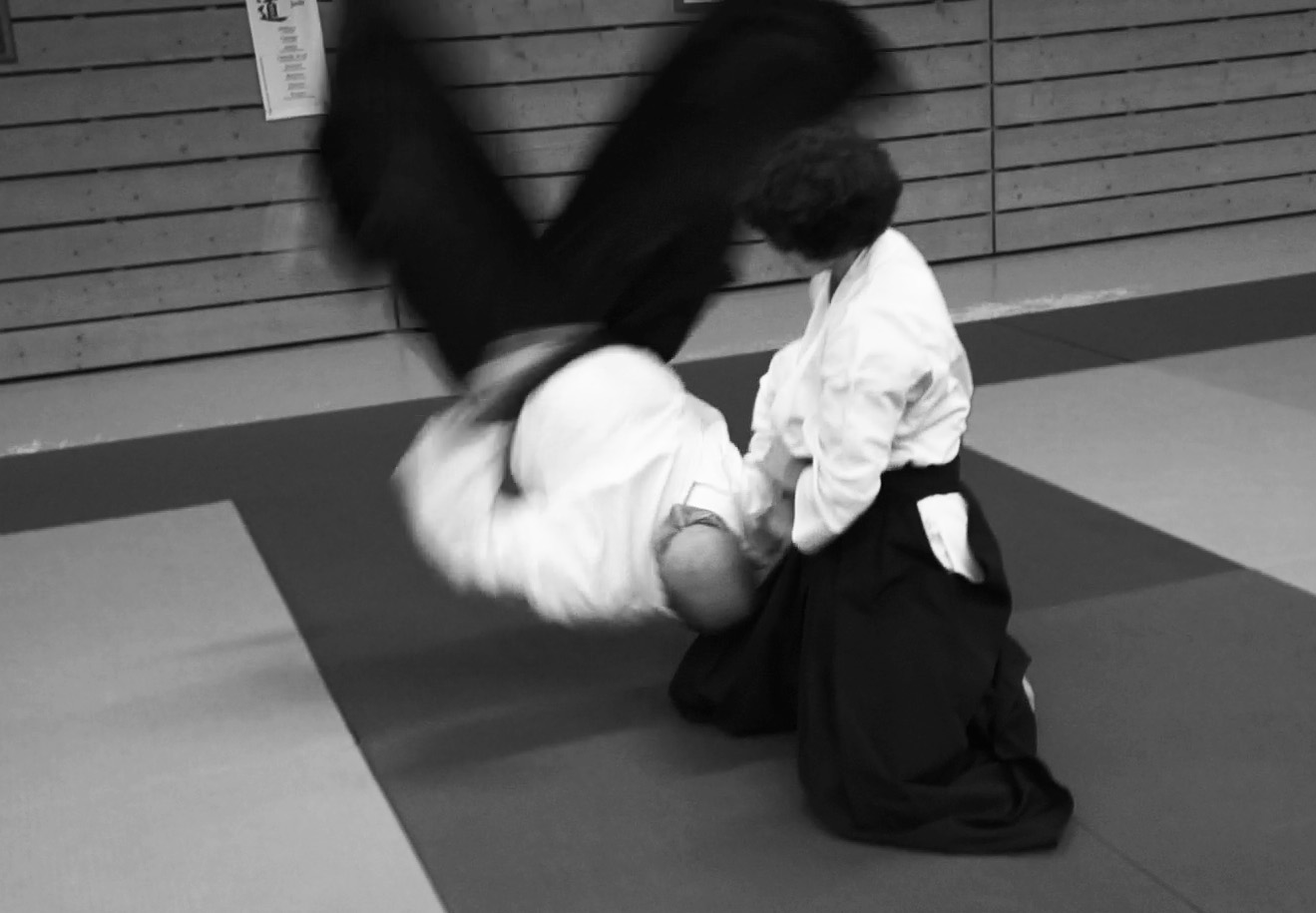 Esthétique de l'aïkido